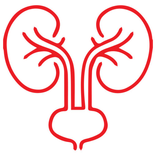 ЛІКАР УРОЛОГ М. РІВНЕ ЛІКАР УРОЛОГ М. РІВНЕ